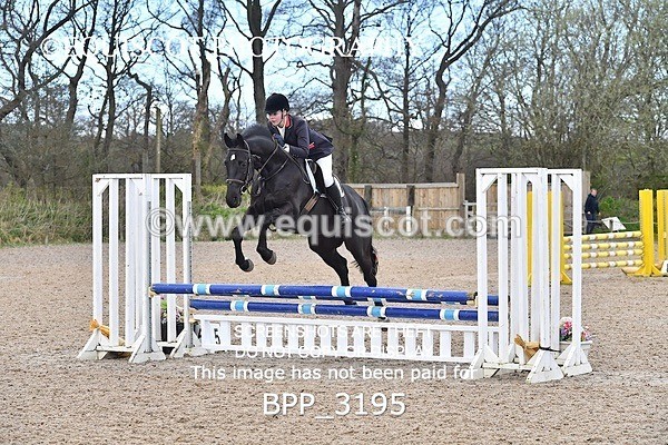 BPP_3195 - CLASS 2 Club/ Unaffiliated 80cms Open