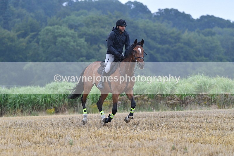 WJ5_2461 - Sofian Francis