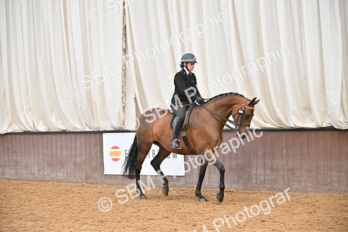 SBM_002329 - Class 22 - BSHA Ridden Hack & Riding Horse