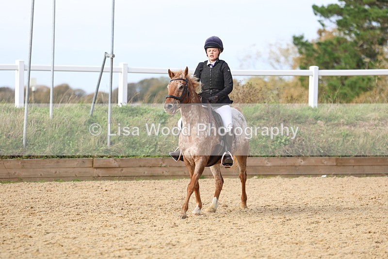 3E7A7653 - Class 3: 60cm open