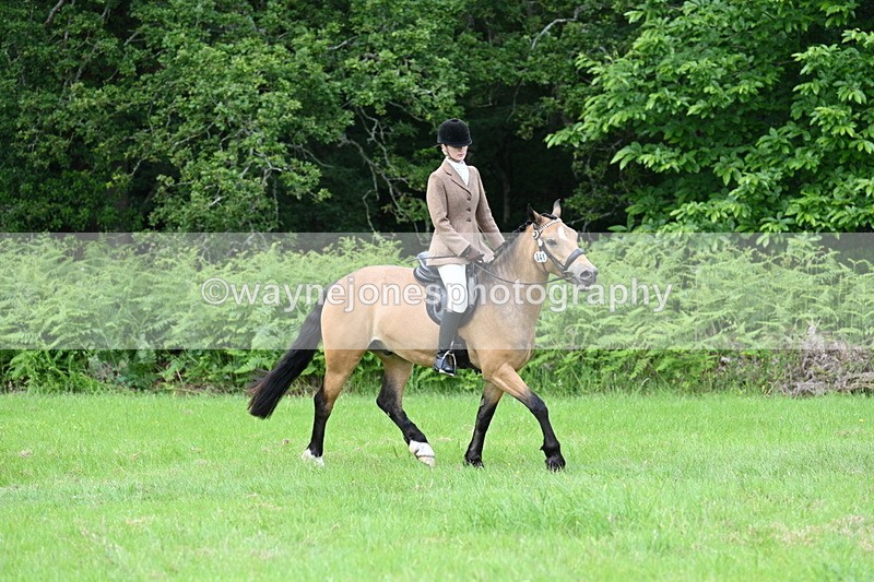 WJ7_2567 - Class 12A Coloured Class