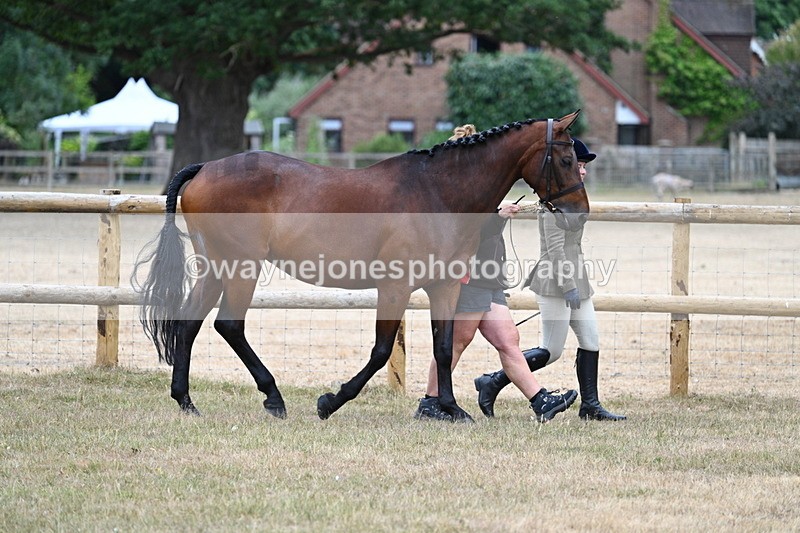 WJ7_8692 - Class 4a Prettiest Mare 14.2hh and over