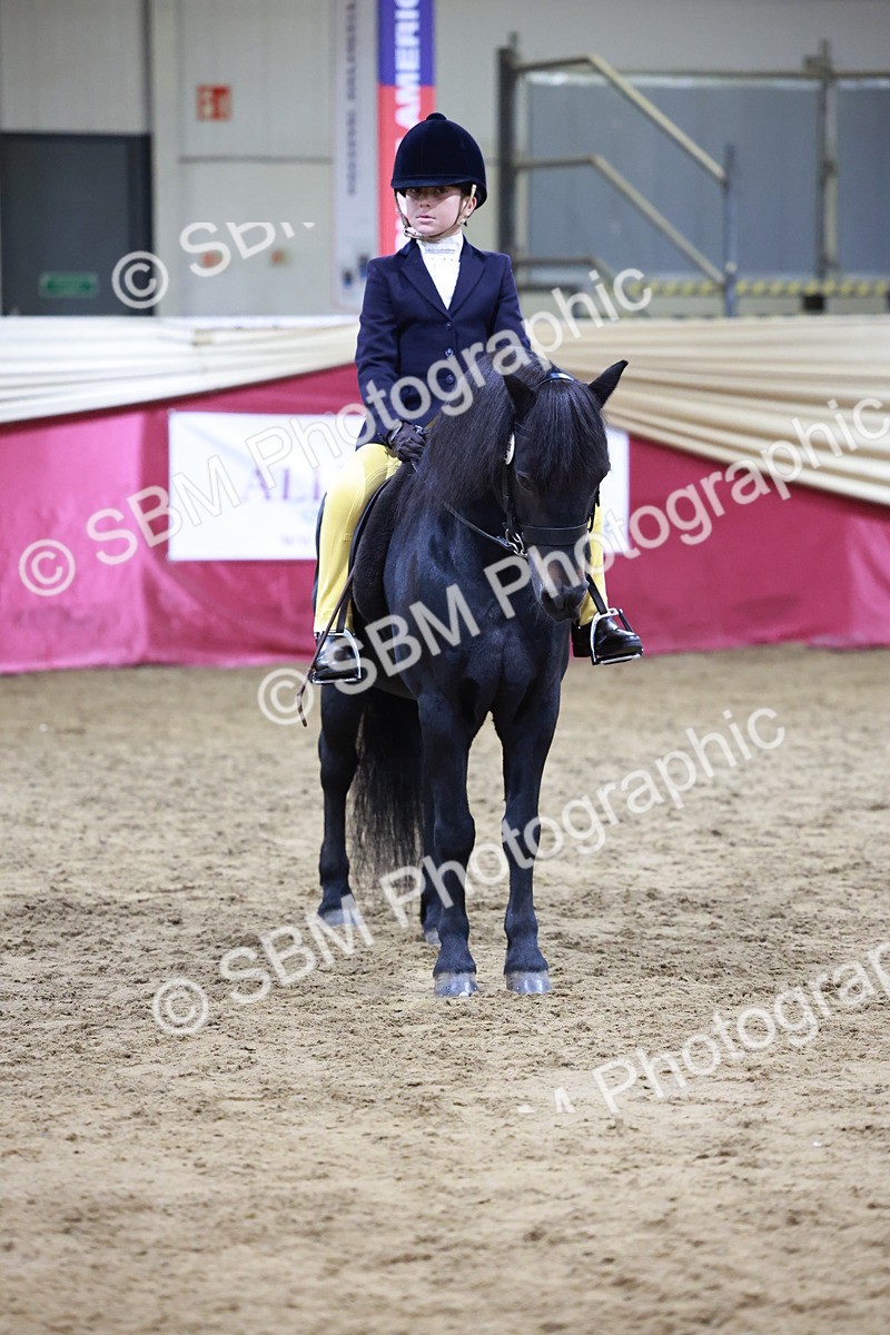 SBM_20560 - Class H - IH Competition - Riding Club champ