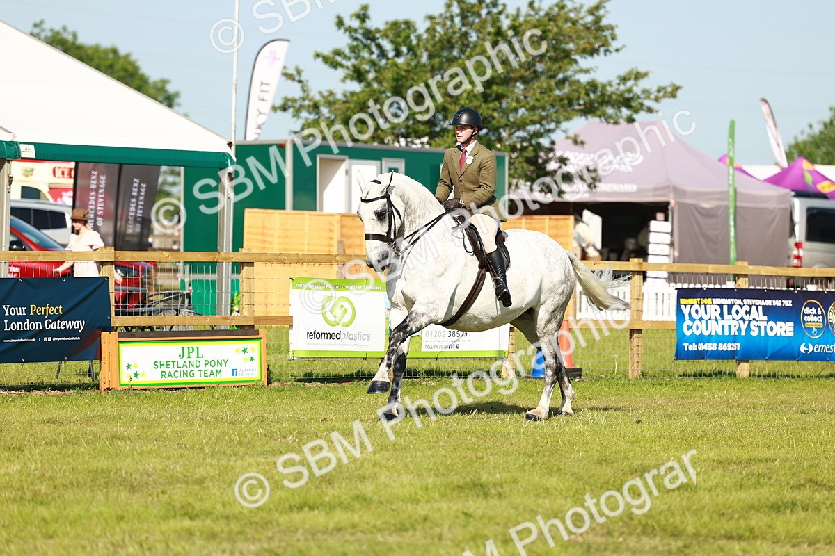 SBM_11821 - Class 66-69 - RIHS Ridden Hunters Inc Small Hunter