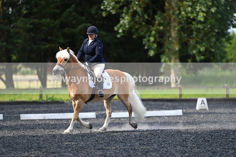 WJ5_9221 - Time 10:10 to 10:47