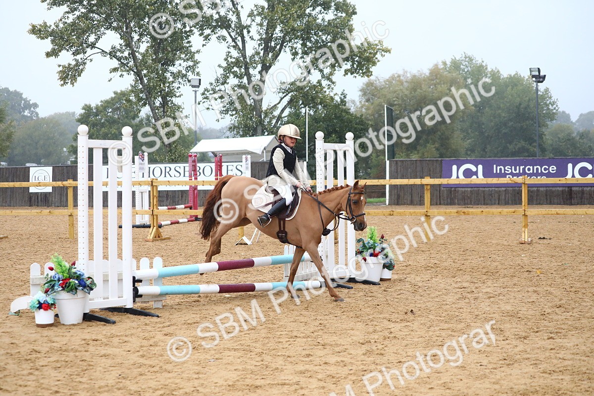 SBM_71736 - J4 - Mini Tour Junior Pony 45cm Championship