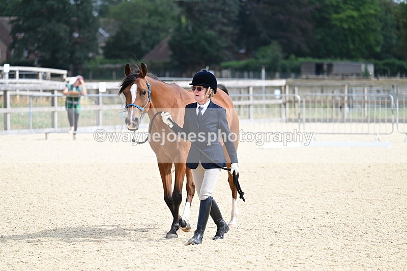 WJ7_1774 - In Hand