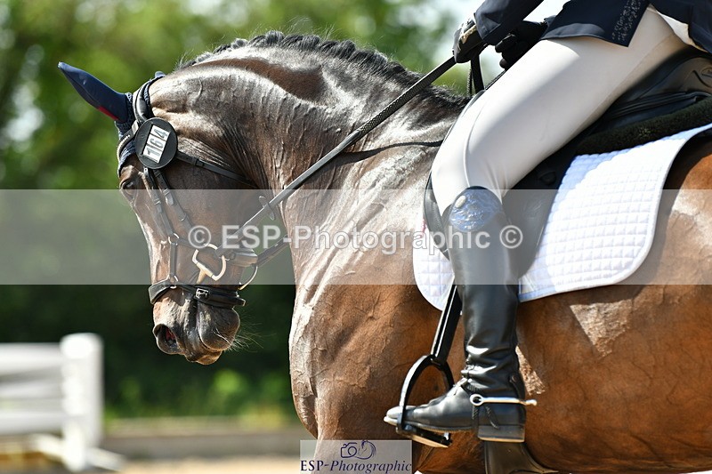 230701A-160142-07306 - Cls 13 Adv Medium 91