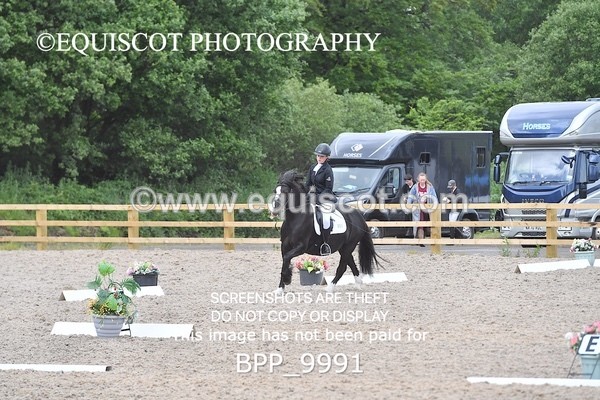 BPP_9991 - SHORT ARENA  MY QUEST PRELIM