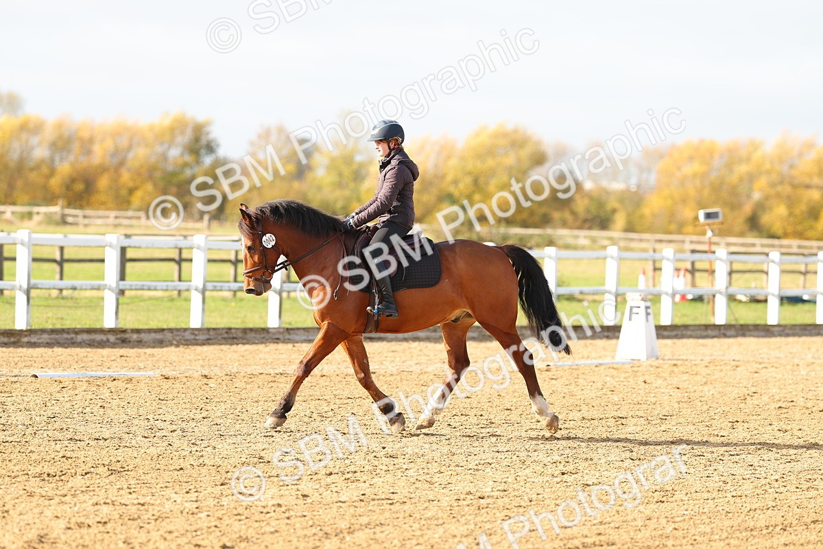 SBM_001204 - Class 13-4-9 - DR P3 CT P3 70cm CT PYO