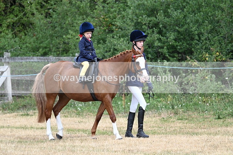 WJ7_9578 - Class 1 Lead Rein Pony