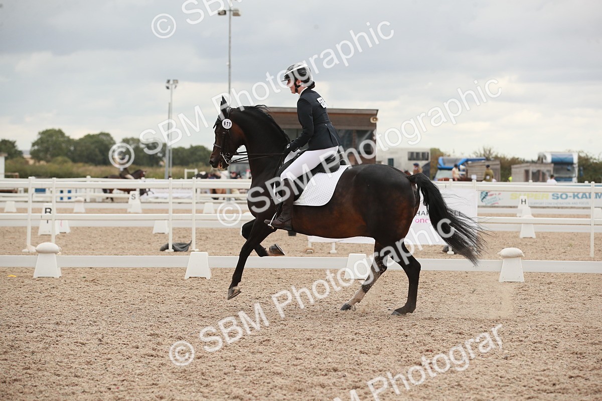 SBM_06128 - Class 33 - Elementary 1