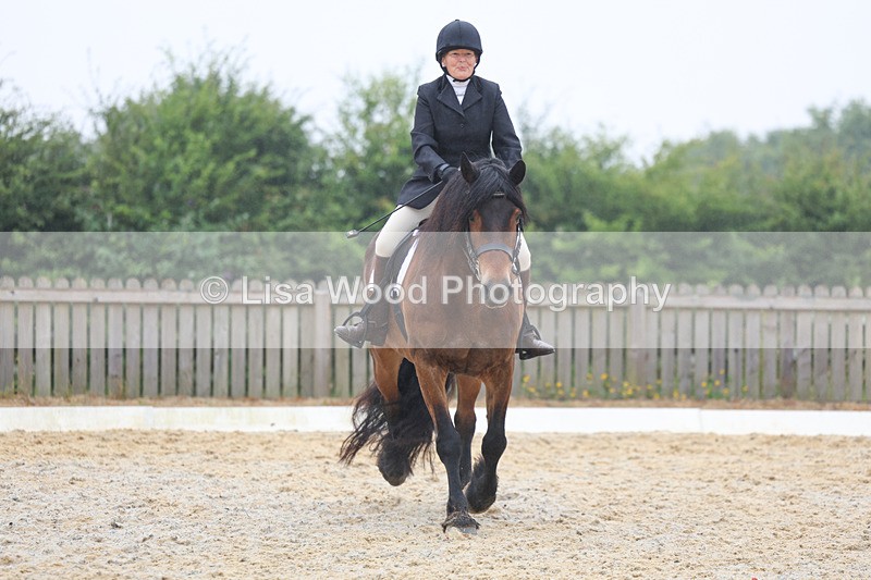 3E7A8176 - Class 1: Intro 3 2024 section A