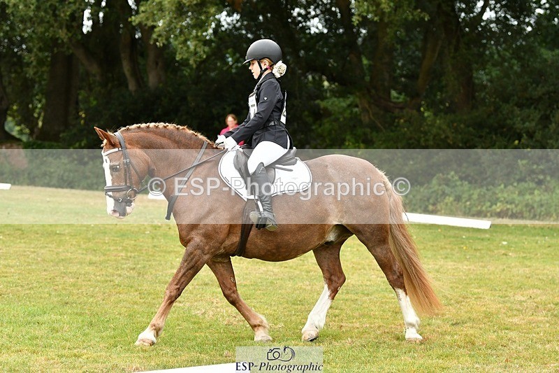 250820A-121550-05518 - 12 to 13.00