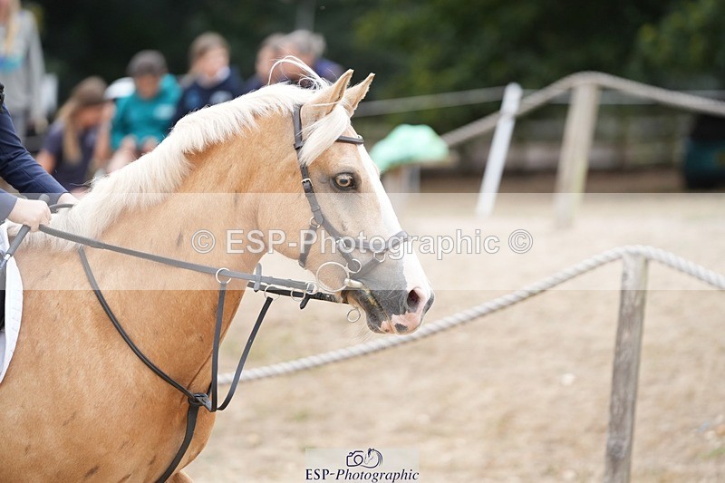 250820A-160459-10798 - Round 2, 14.45 to End