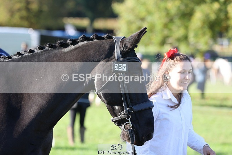 241027-092327-15255 - 357-Eleanor.Newcombe-MR.DARCY