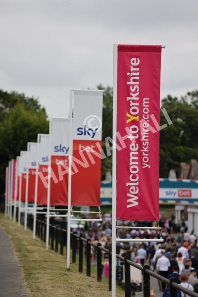 yr24072021r5-3 - Race 5 4.25pm Sky Bet Best Odds Guaranteed Stakes