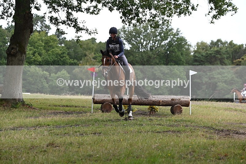 WJ6_0542 - XC Time 11:59 to 12:15