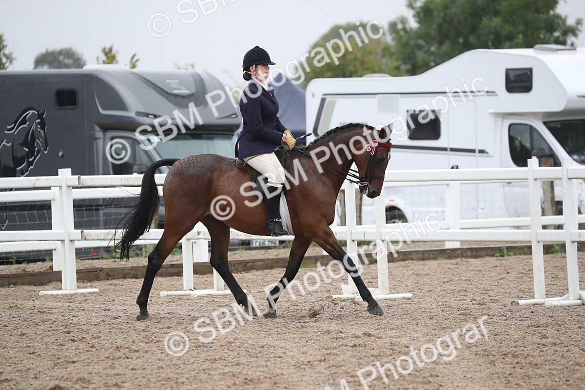 SBM_21563 - Class 602 - 2025 Area - Ridden Veteran