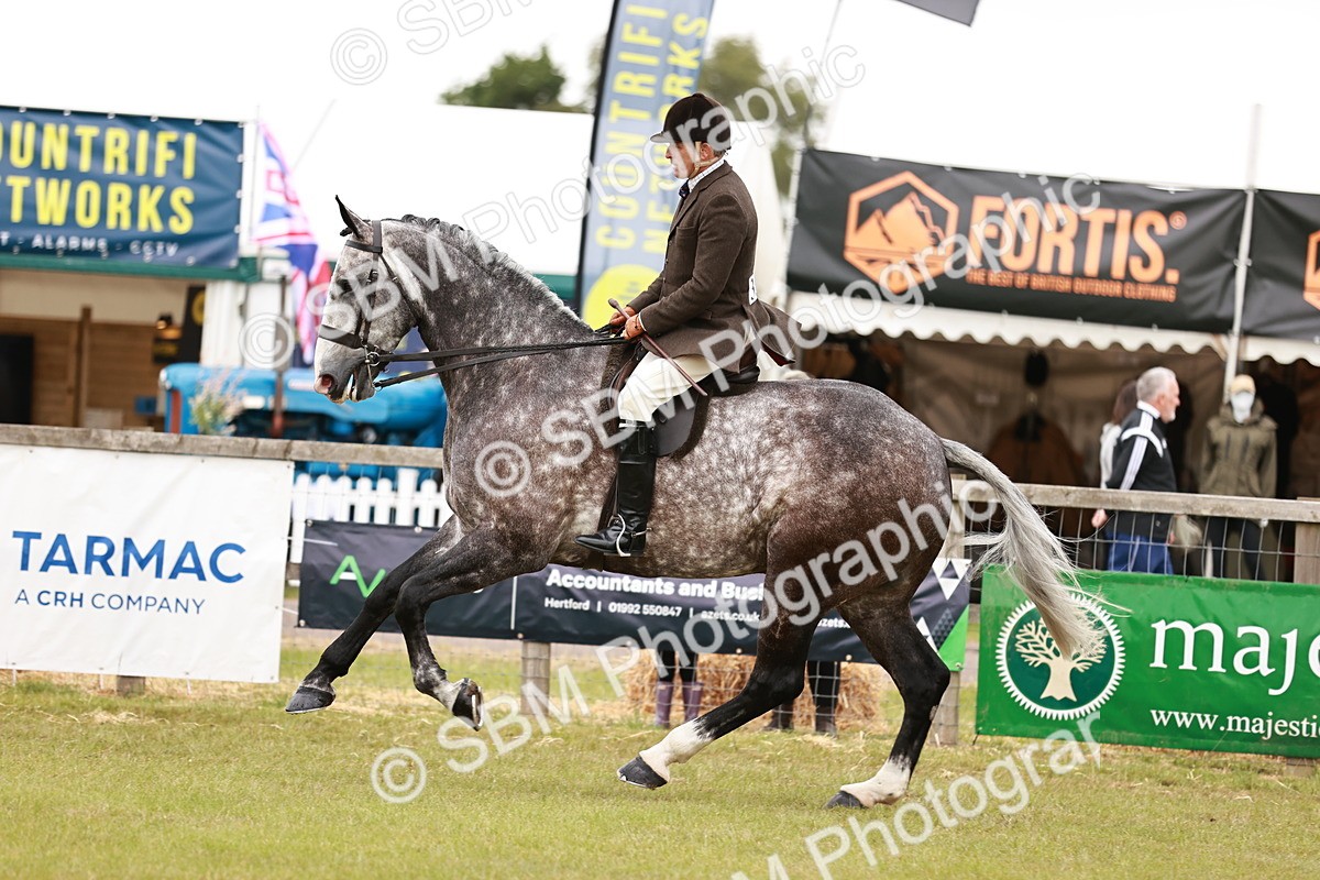 SBM_10936 - Class 81-84 - RIHS Ridden hunters Inc Ladies Hunter