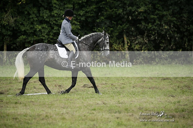BVRC 120921 470 - Bourne Valley Riding Club UA Dressage & Show Jumping 12/09/21