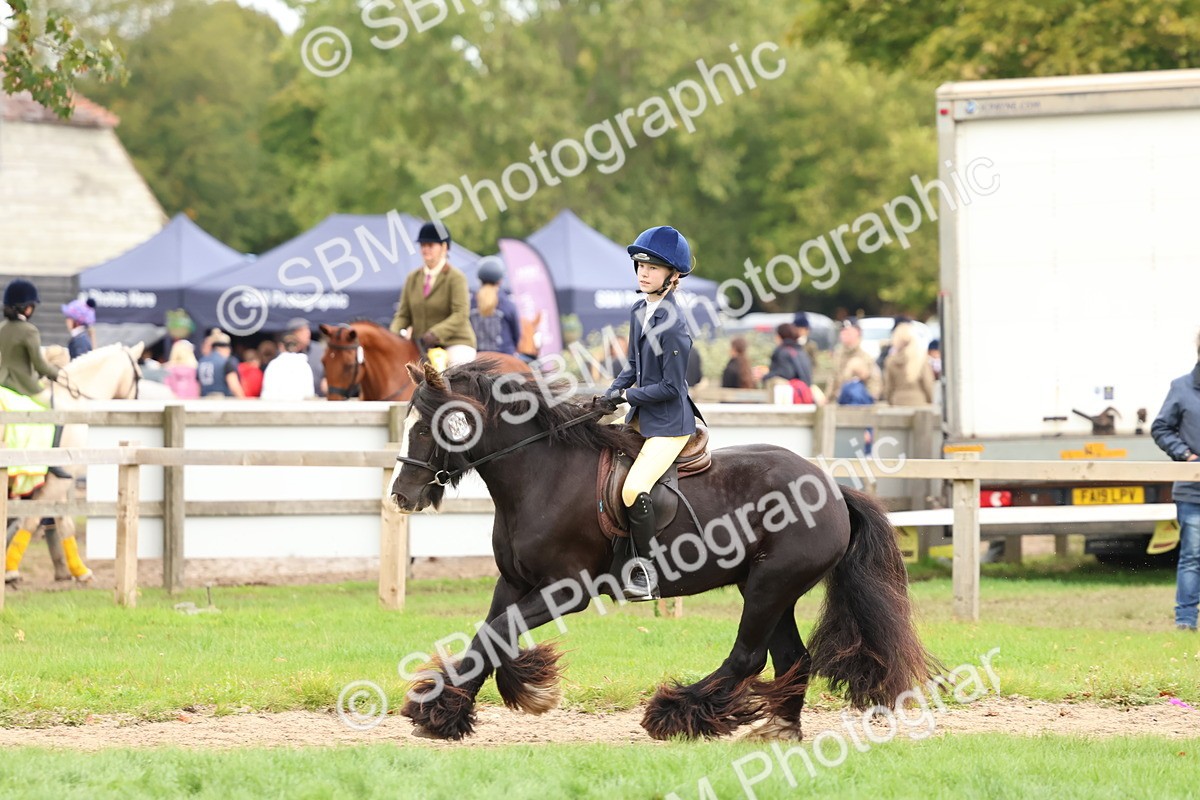 SBM_67551 - S60 - Mini Show Cob Ridden