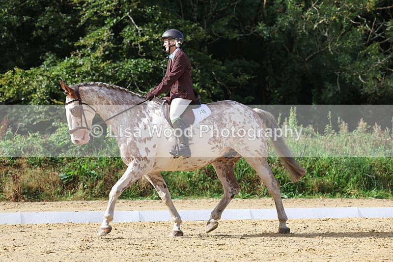 3E7A2403 - Class 1: Intro 4 2024 section A