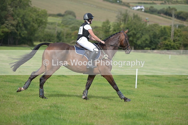 RAY_8968 - Class 2: Trekenning Open: Wall