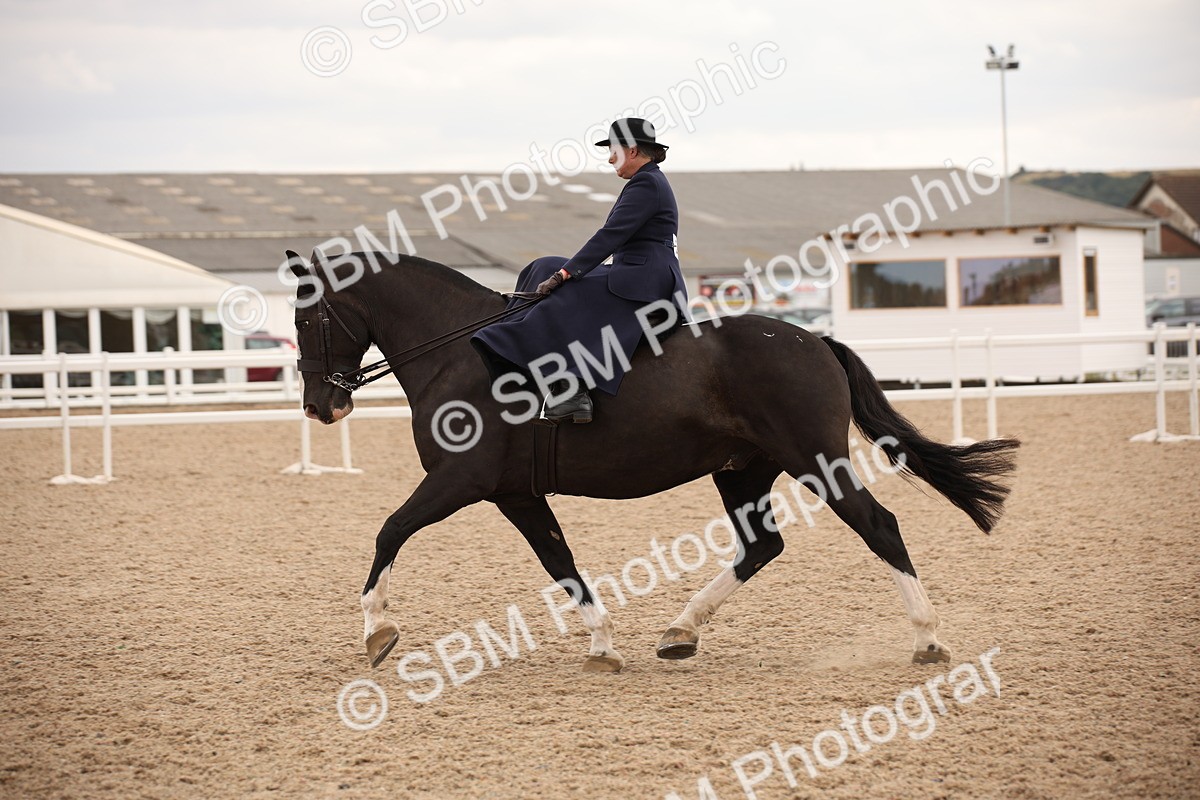 SBM_05463 - Class 22 SSA Equitation