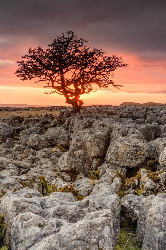Twistleton Sunset - Distant Hills