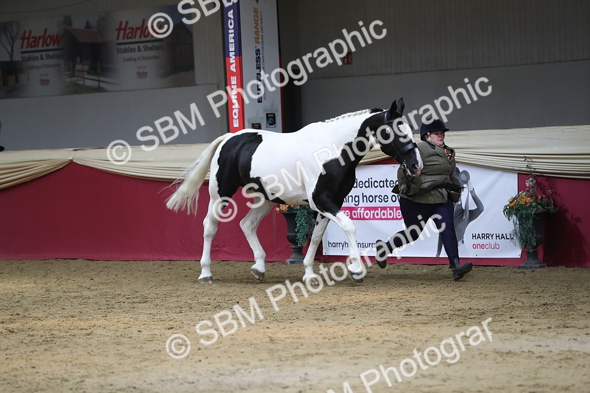 SBM_06243 - Class 9R Regional- IH Pre Vet