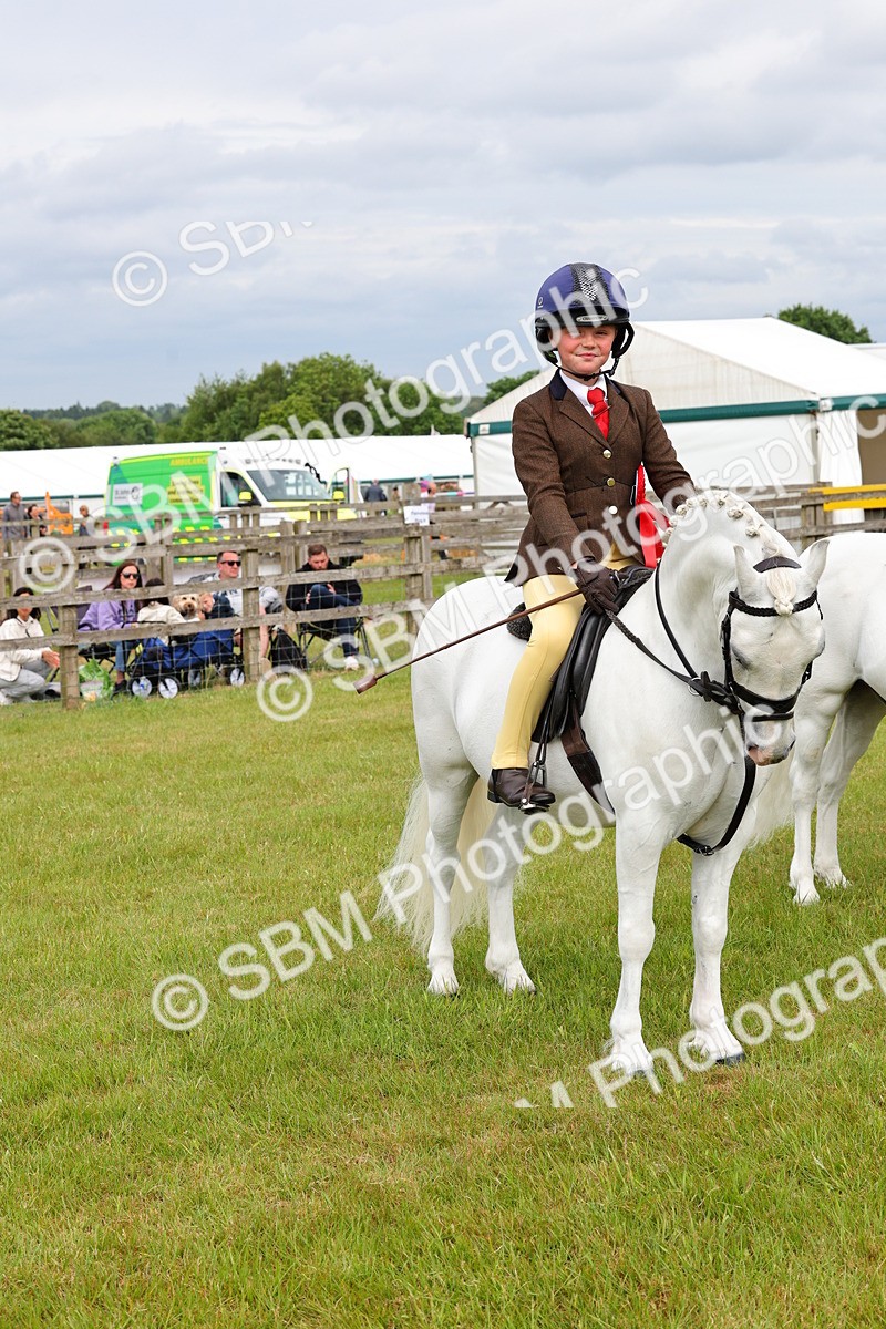 SBM_09649 - Class 44-45 - LIHS BSPS Open Nursery and Cradle Stakes