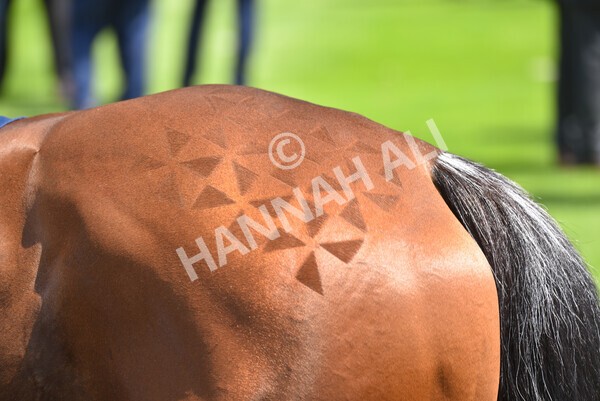 yr09072021r1-4 - Race 1: 2.05pm williamhill.com Best Odds Guaranteed Handicap Stakes