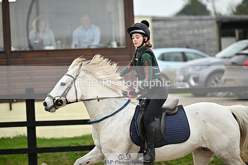 241110-140448-01030 - 60-65cm Arena Eventing