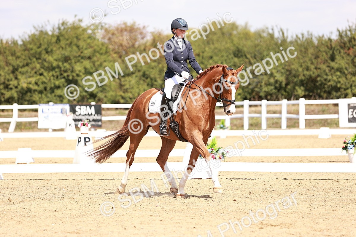 SBM_018439 - Class 17 - Novice 6