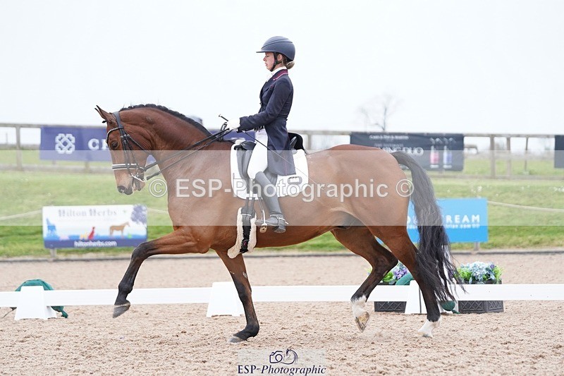 250403-161538-03273 - 028-Elizabeth.Allen-Heraldik