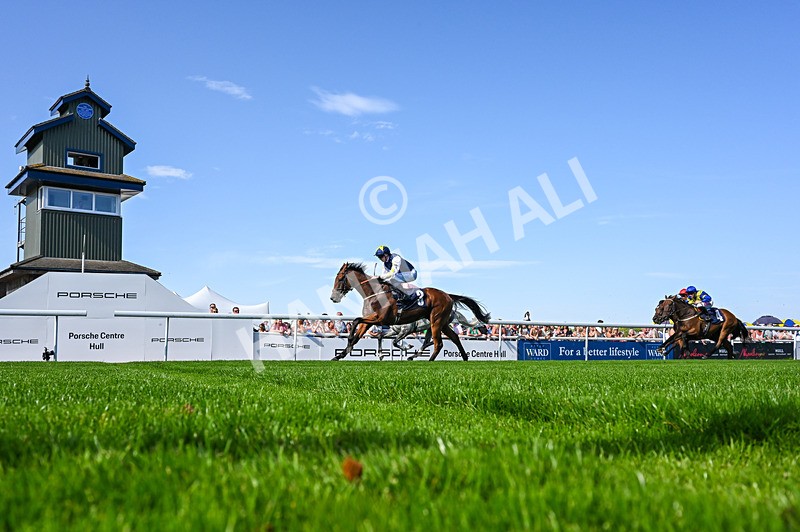 120826-Race 5-Ciao Capo-5183 - Race 5 16.15pm Cayenne Electric At Porsche Centre Hull Handicap