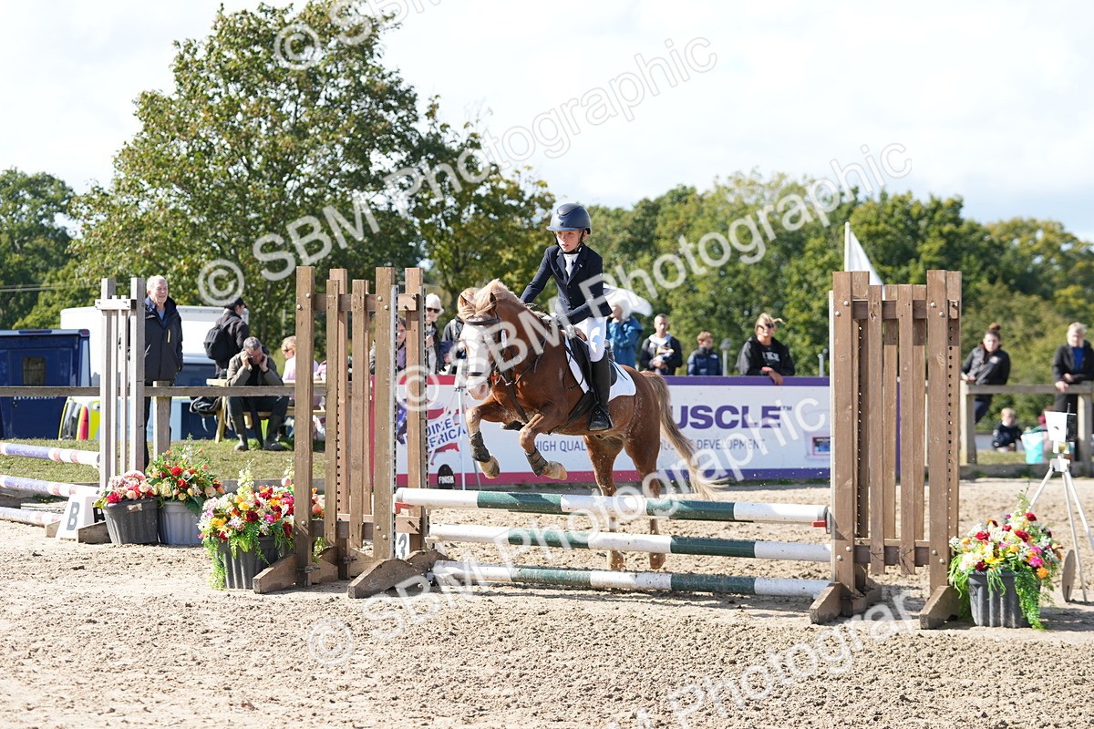 SBM_46517 - J7 - Junior Pony 60cm Championship
