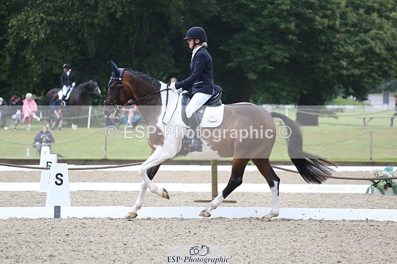 240720-145845-06277 - 124-Sophie_Savage-Two_Tone_Ted