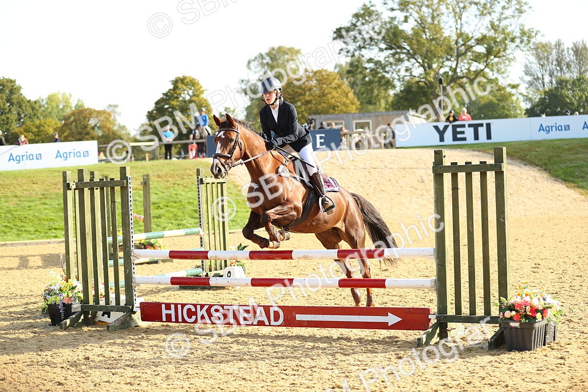 SBM_60254 - J41 - Grand Tour 95cm Championship