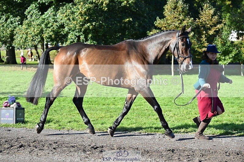 231022-110002-23652 - 404-ATLANTIC.COAST-Nicky.Ralph-TrotUp+SJ