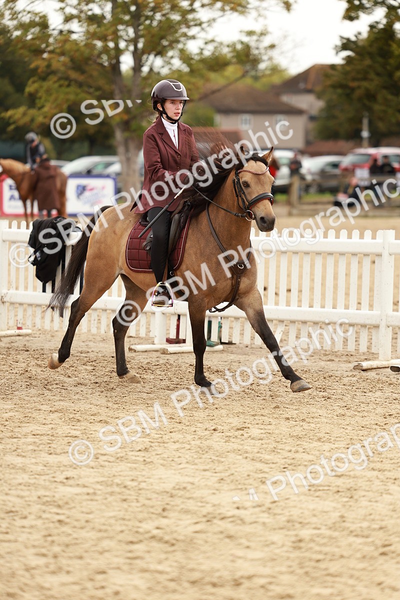 SBM_57850 - J11 - Junior Pony 50cm Championship