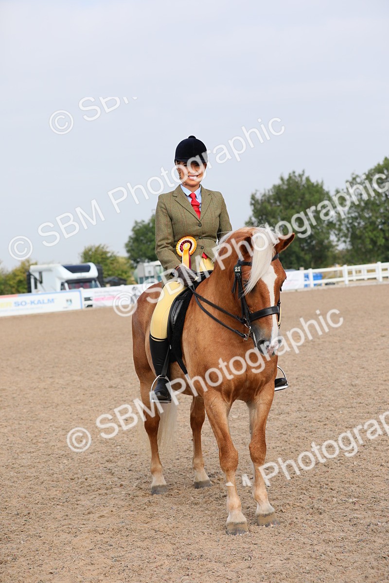 SBM_10734 - Class 303 Ridden Pure Bred Horse/Pony (excl M&M)