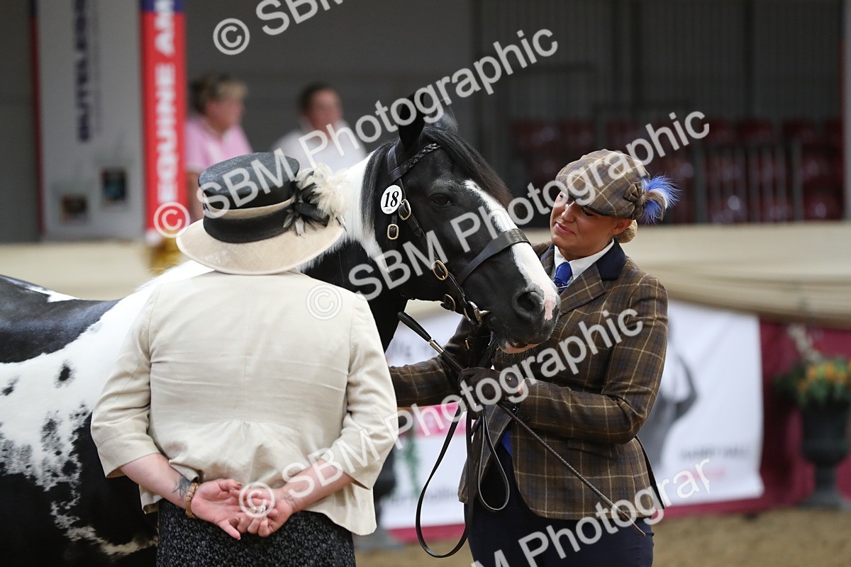 SBM_06410 - Class 9R Regional- IH Pre Vet