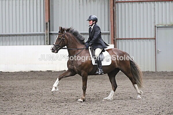 SIAL5033 - CAbin Dressage 5th july 2025