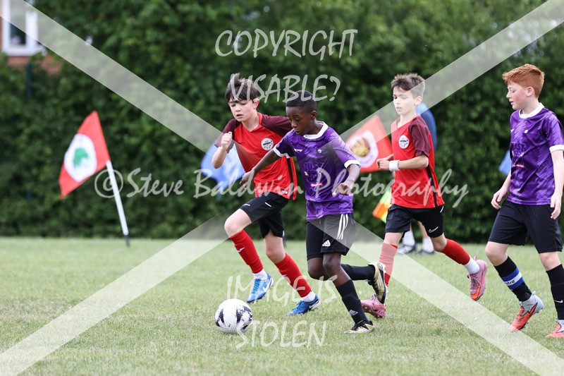 1DX30988 - Brook Field V Goddard Park