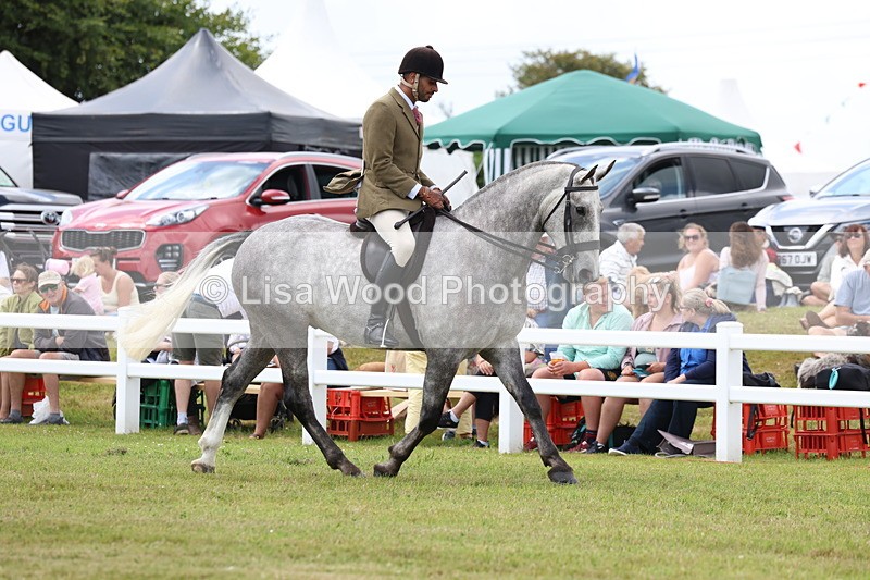 3E7A1892 - Class 10: Open Cob