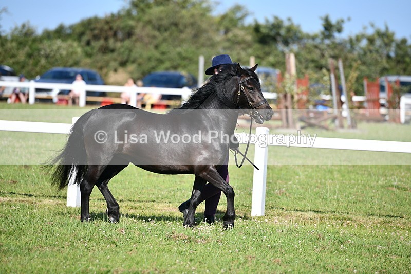 DSC_5913 - Class 51: NPS M&M 2/3 year olds