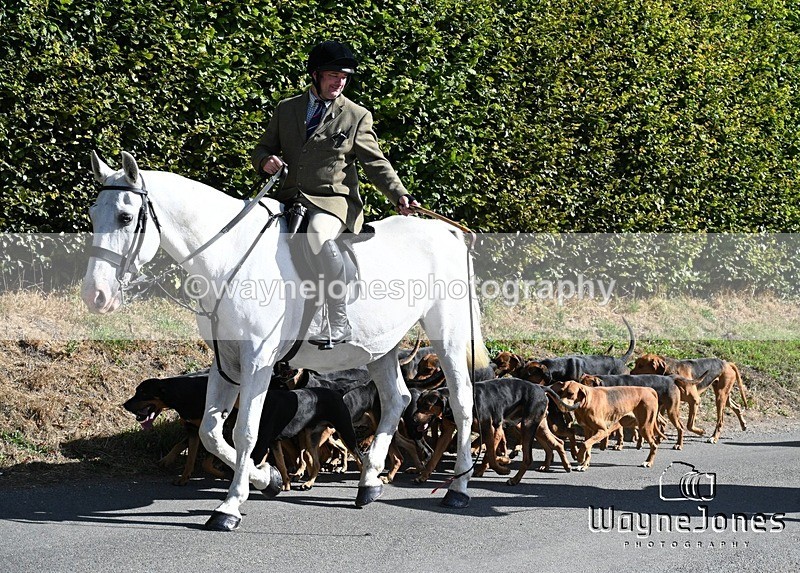 WJ7_0350 - Berks & Bucks - Hound Exercise – Kennels 06-09-26