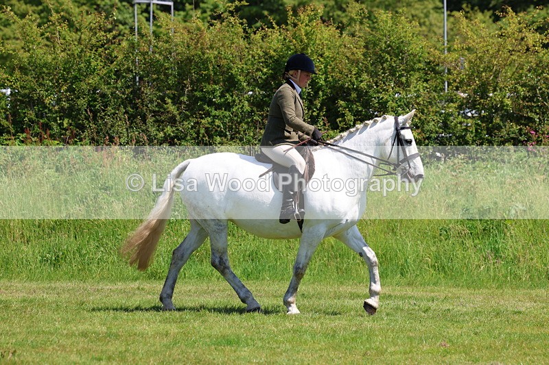 3E7A8184 - Class 13: Ridden Hunter